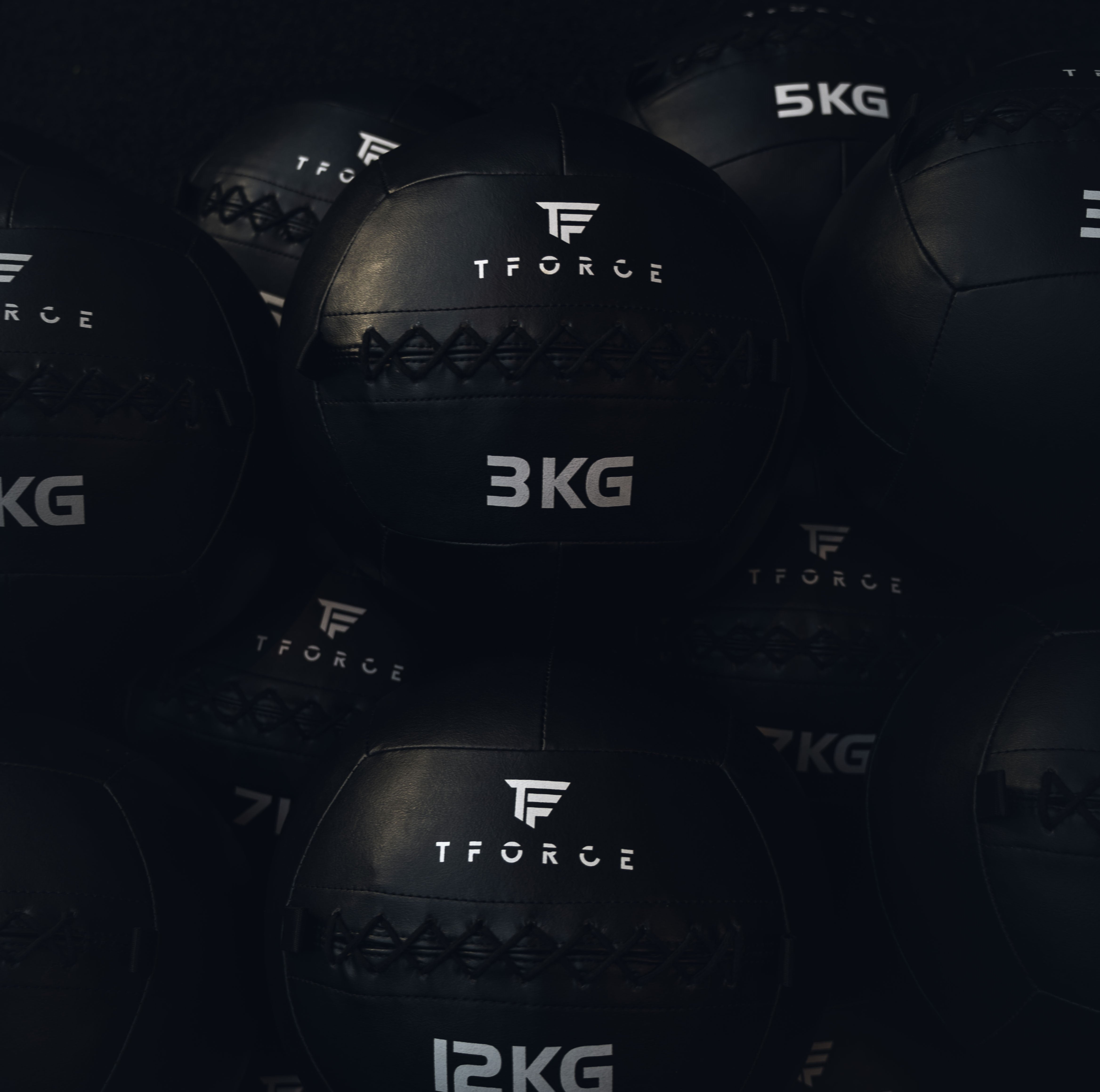 TFORCE WALL BALL (sold individually)