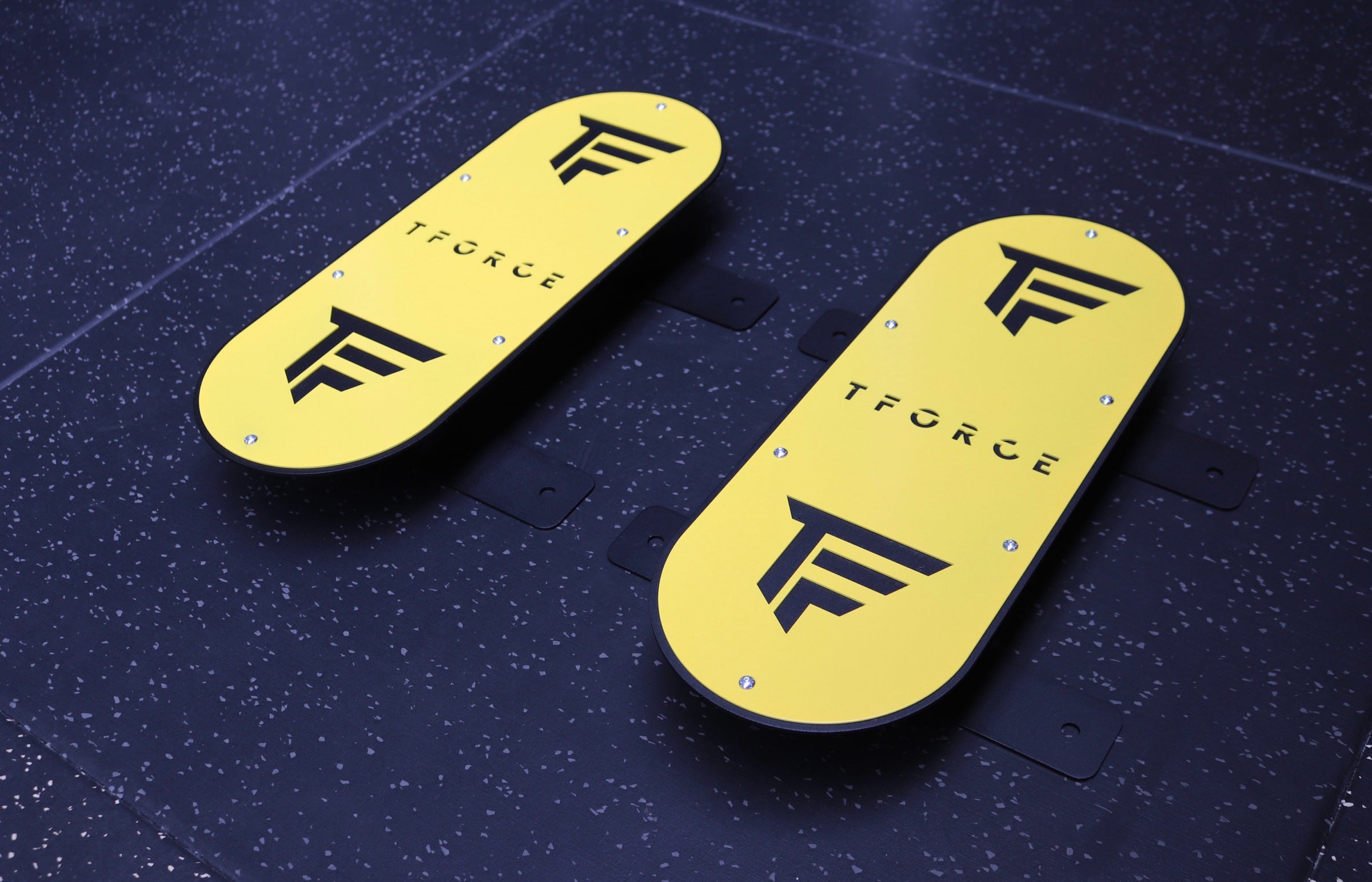 TFORCE WALL BALL TARGET  (wall mounted)