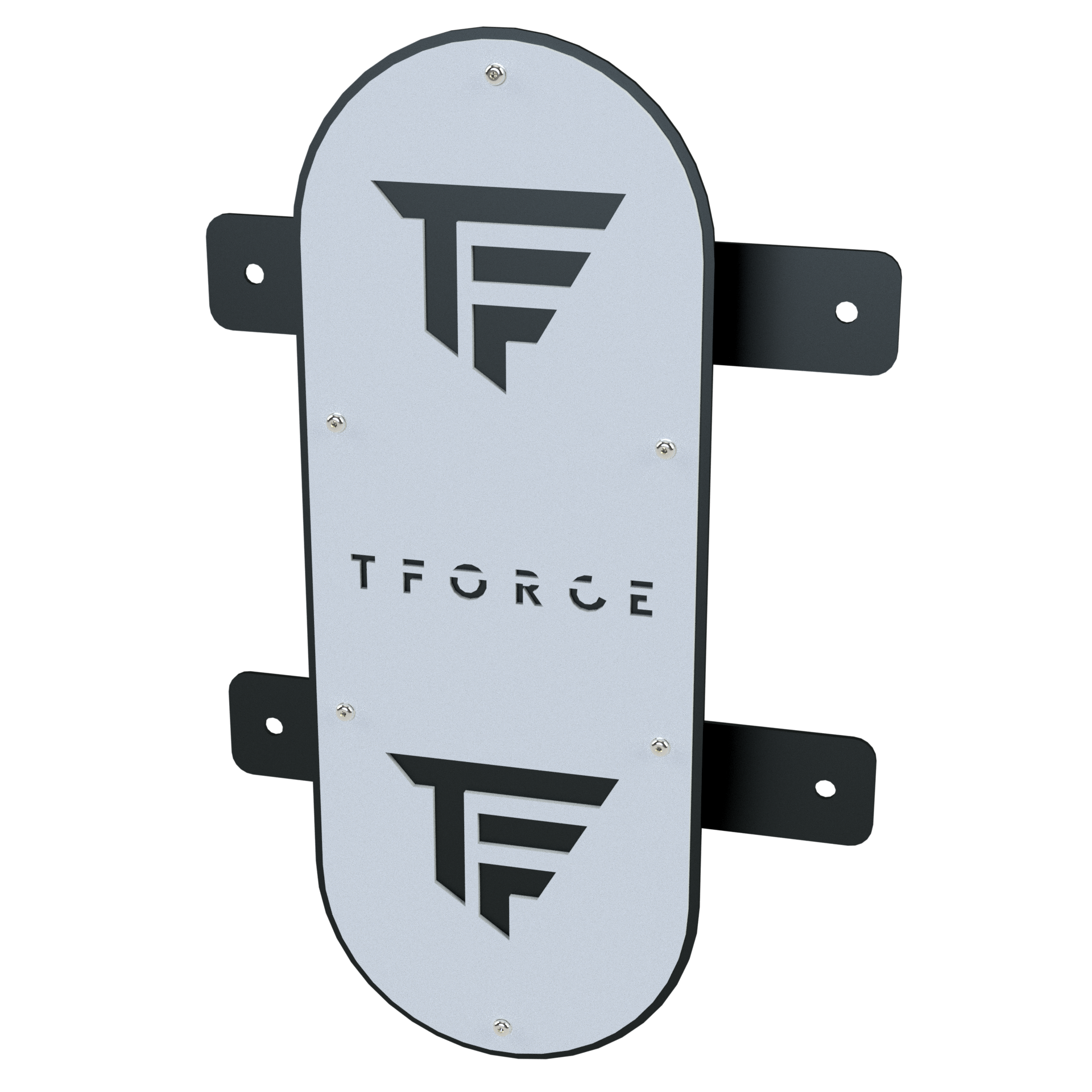 TFORCE WALL BALL TARGET  (wall mounted)