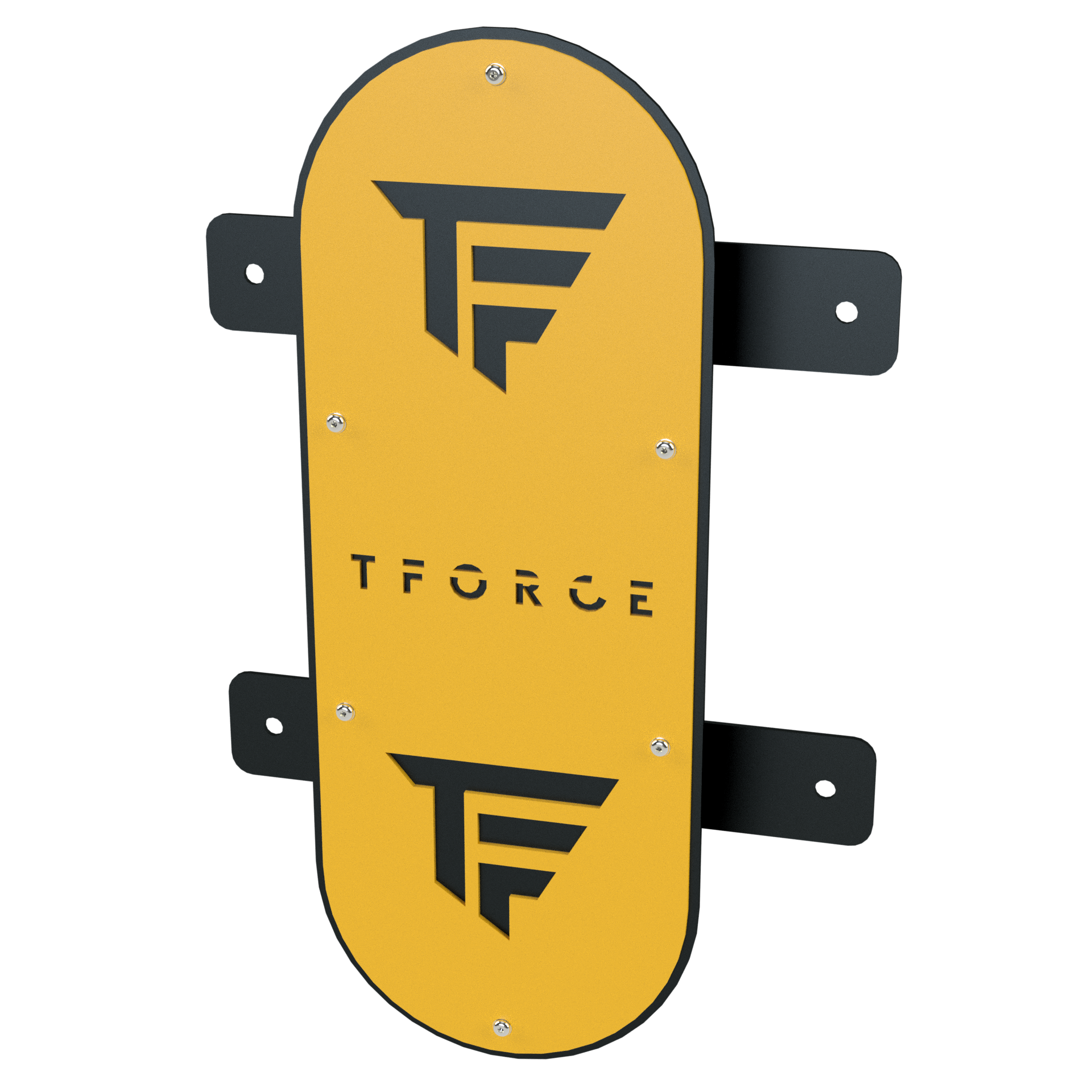 TFORCE WALL BALL TARGET  (wall mounted)