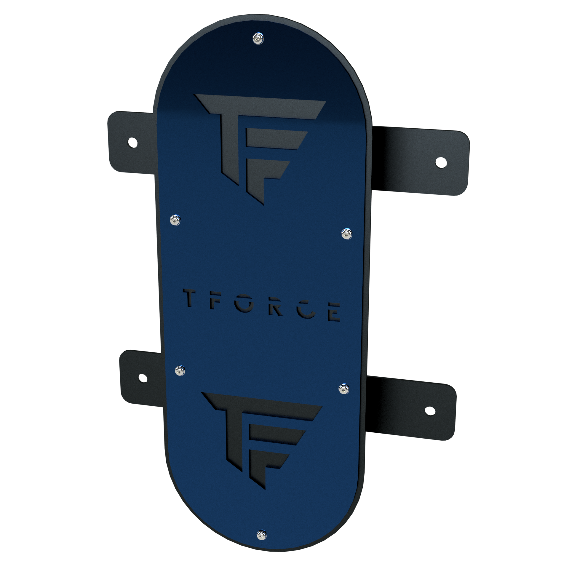 TFORCE WALL BALL TARGET  (wall mounted)
